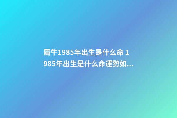 屬牛1985年出生是什么命 1985年出生是什么命運勢如何 1985年出生的人是什么命